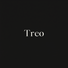 Elegant Minimalist Logo Card - Treo 1